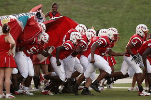 开云体育在线登入-国家队技战术水平提升瓶颈，国家技巧队